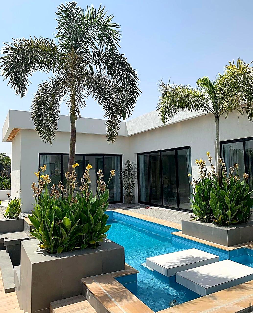 Villa pool with palm trees